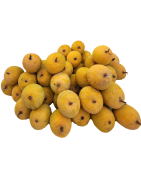 Devgad Alphonso (Hapus)
